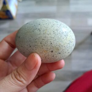 Trứng vịt bắc thảo 9 26