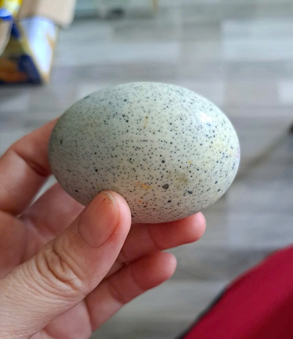 Trứng vịt bắc thảo 4 26