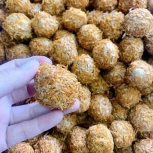 Trứng cút bắc thảo 9 32
